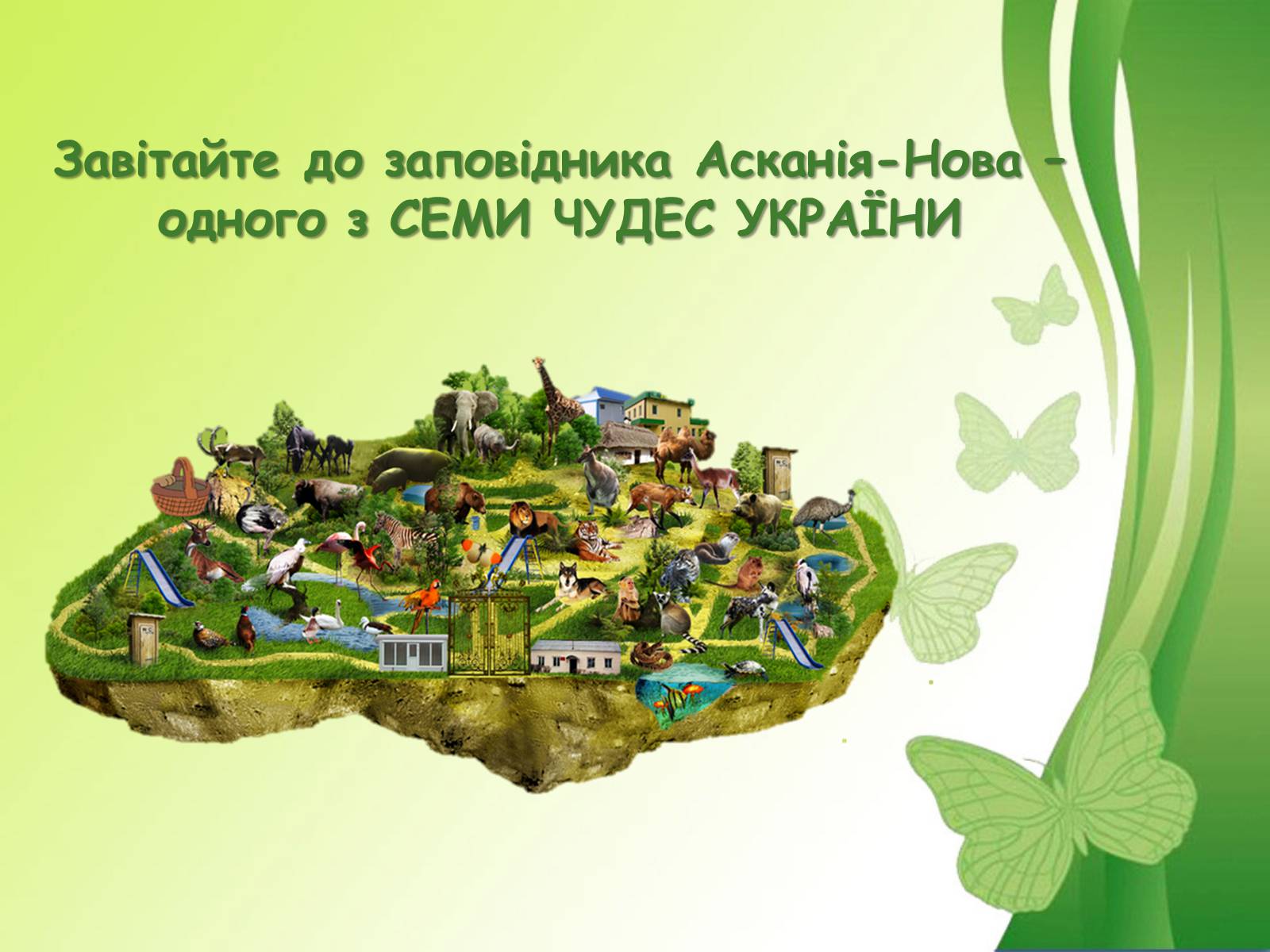 Презентація на тему «Біосферний заповідник Асканія-Нова» - Слайд #17