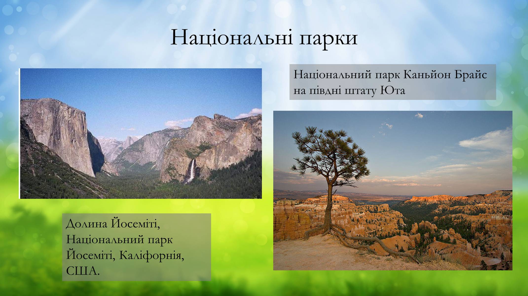 Презентація на тему «Основні категорії заповідних об&#8217;єктів» (варіант 2) - Слайд #4