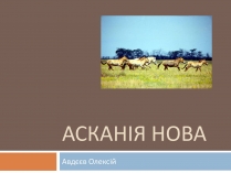 Презентація на тему «Асканія Нова» (варіант 1)