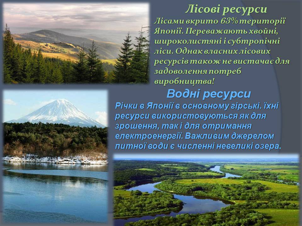 Презентація на тему «Японія» (варіант 55) - Слайд #8