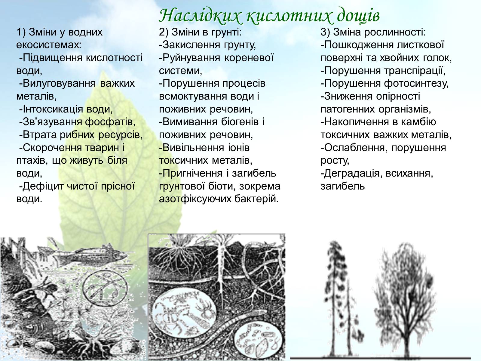 Презентація на тему «Причини виникнення та екологічні наслідки кислотних дощів» - Слайд #16