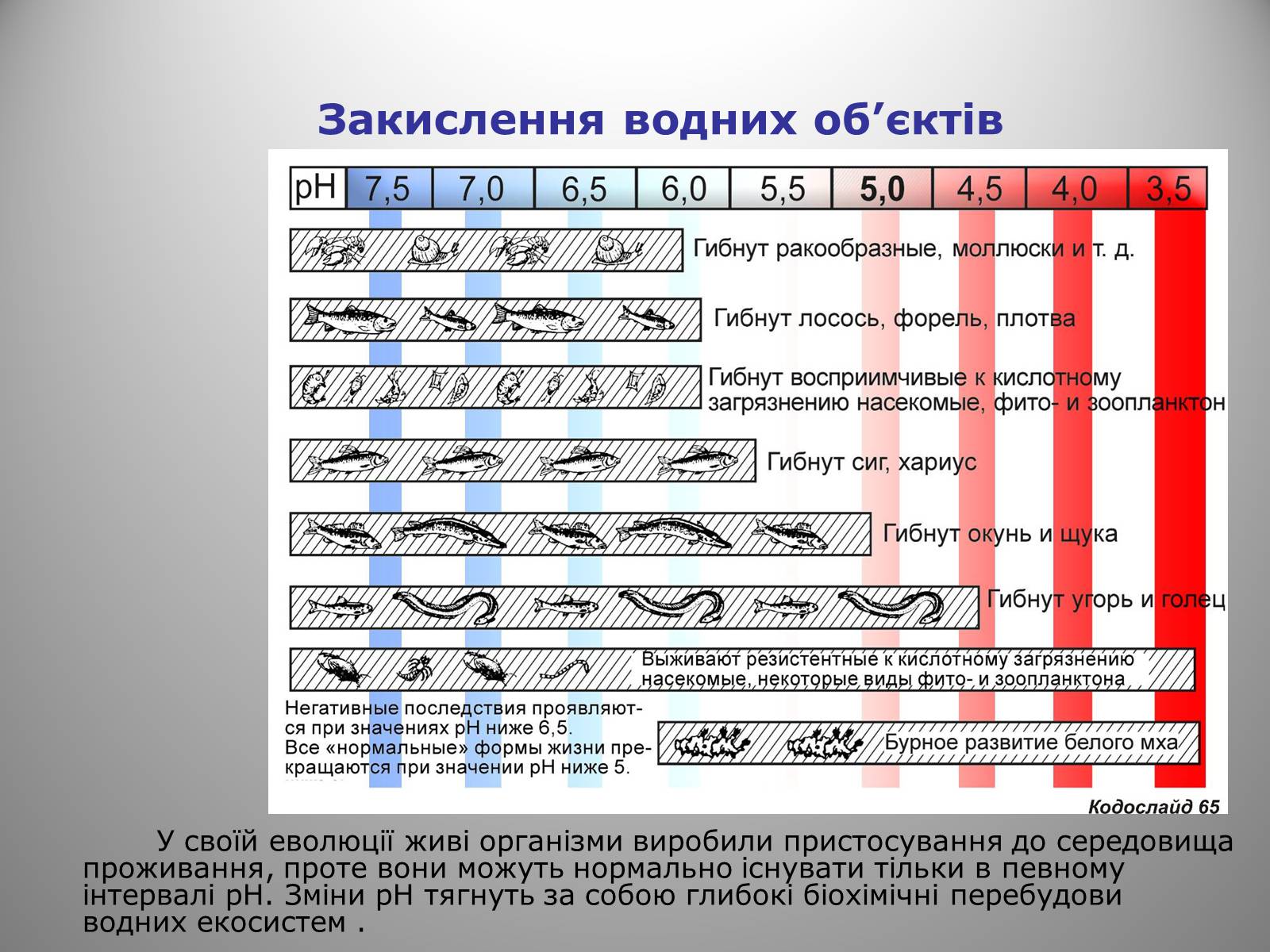 Презентація на тему «Причини виникнення та екологічні наслідки кислотних дощів» - Слайд #24