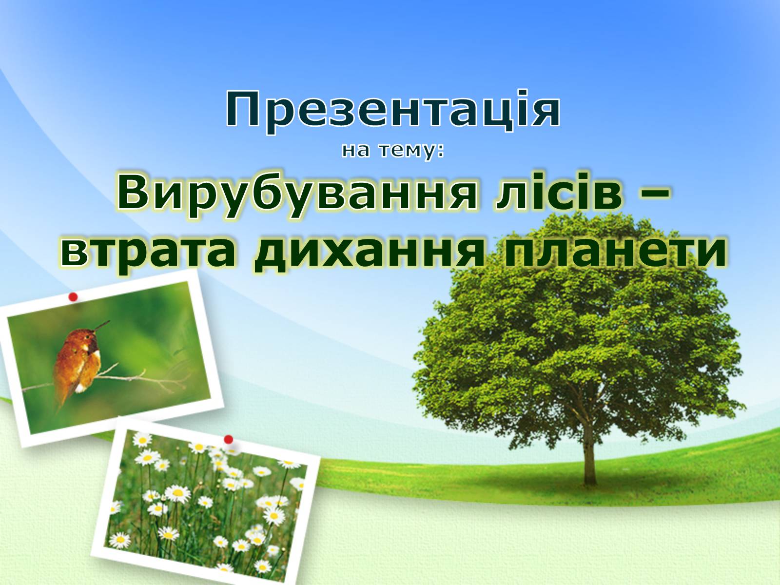 Презентація на тему «Вирубування лісів» - Слайд #1