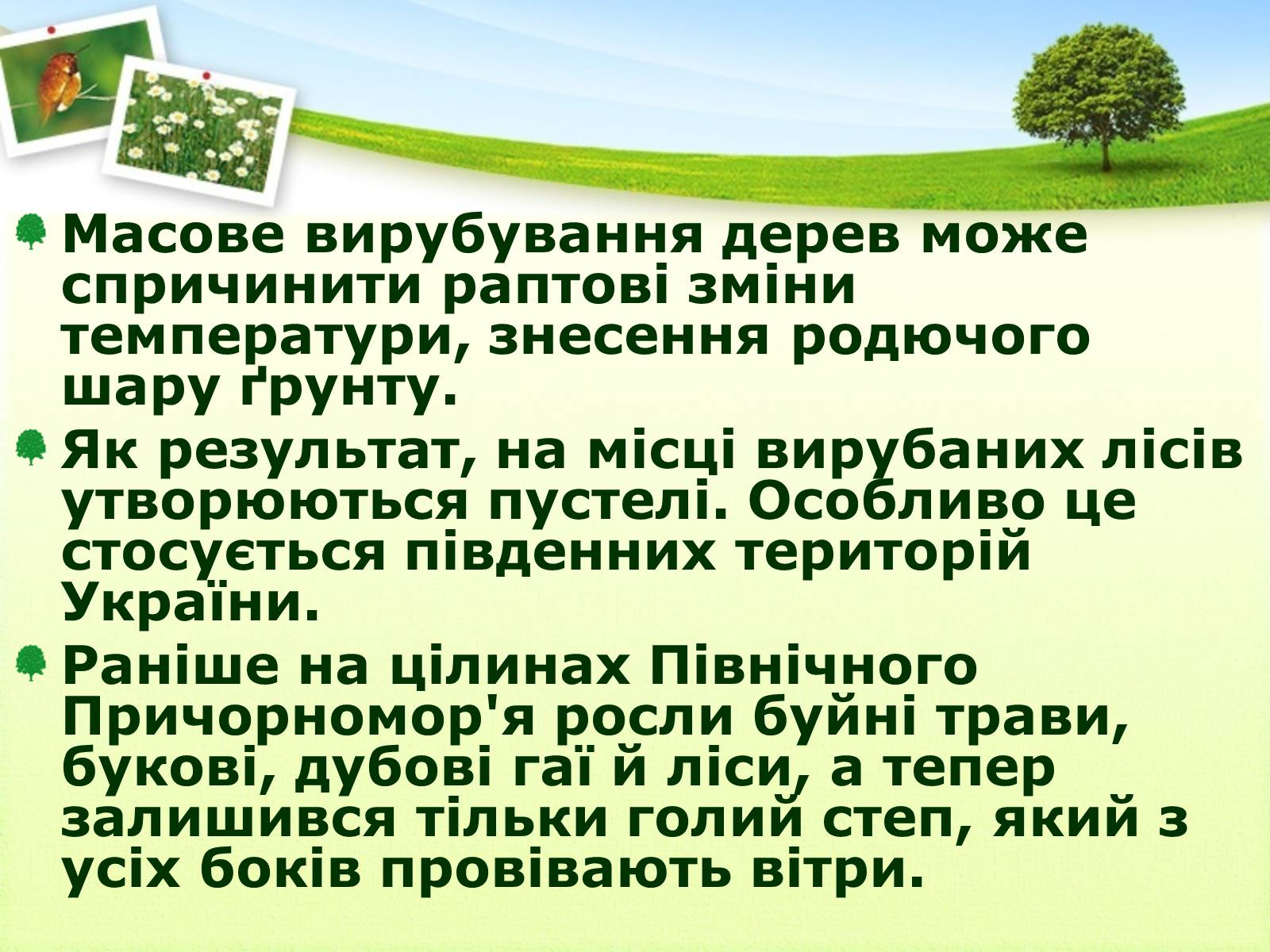 Презентація на тему «Вирубування лісів» - Слайд #5