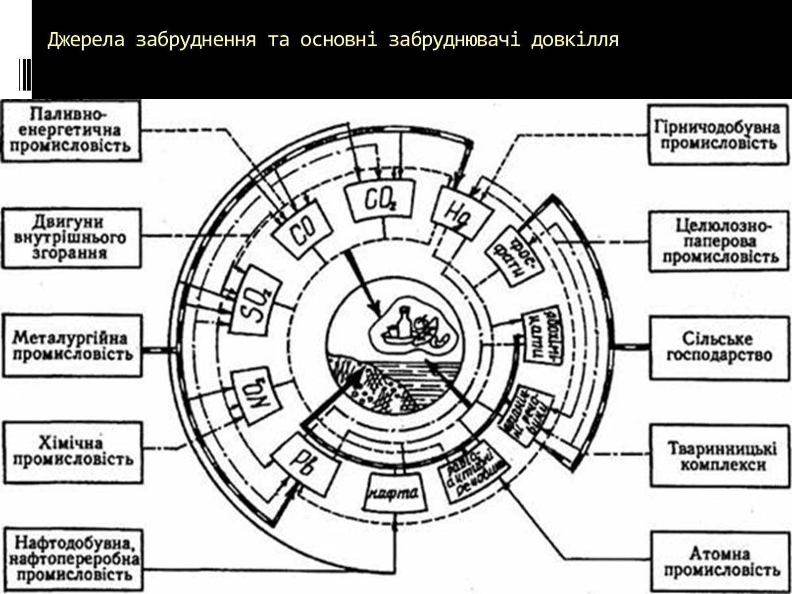 Презентація на тему «Вплив на людський організм антропогенних порушень біосфери» - Слайд #4