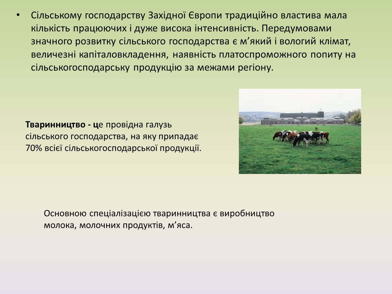 Презентація на тему «Європейські регіони. Західна Європа» - Слайд #15