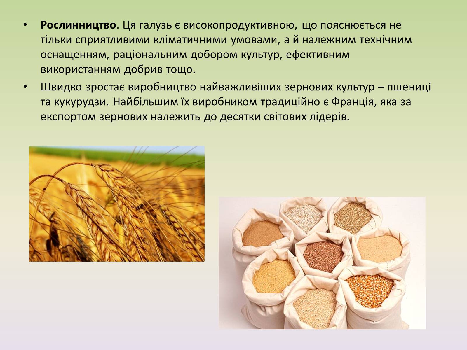 Презентація на тему «Європейські регіони. Західна Європа» - Слайд #16