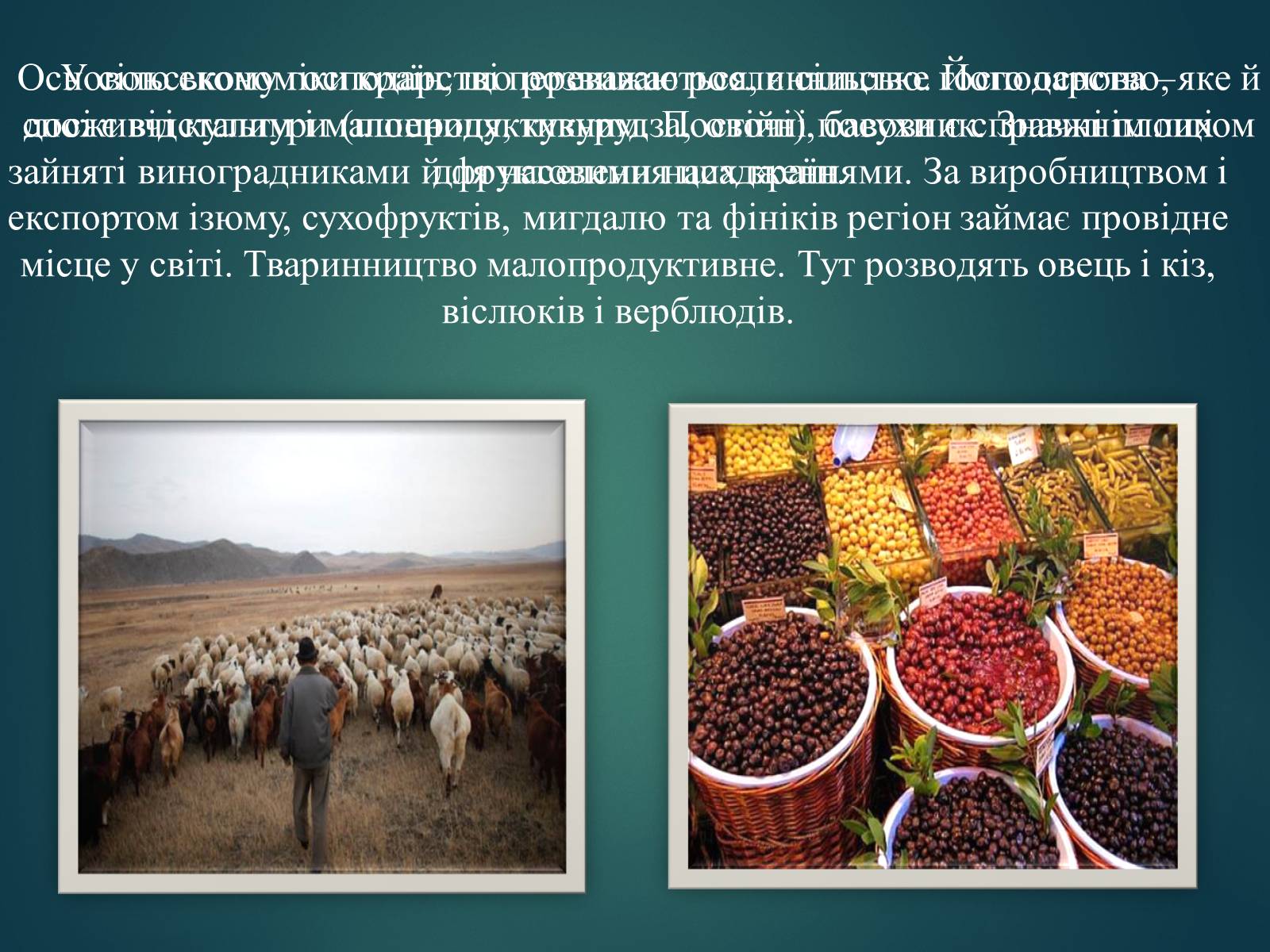 Презентація на тему «Країни Південно-Західної Азії» - Слайд #8