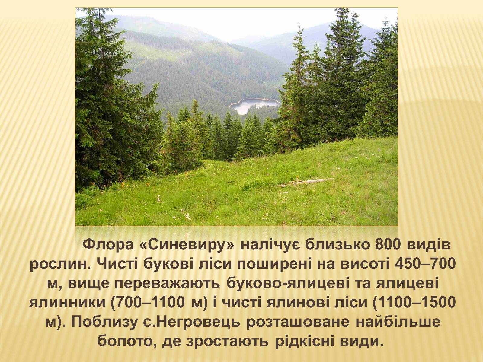 Презентація на тему «Заповідник “Синевир”» - Слайд #9