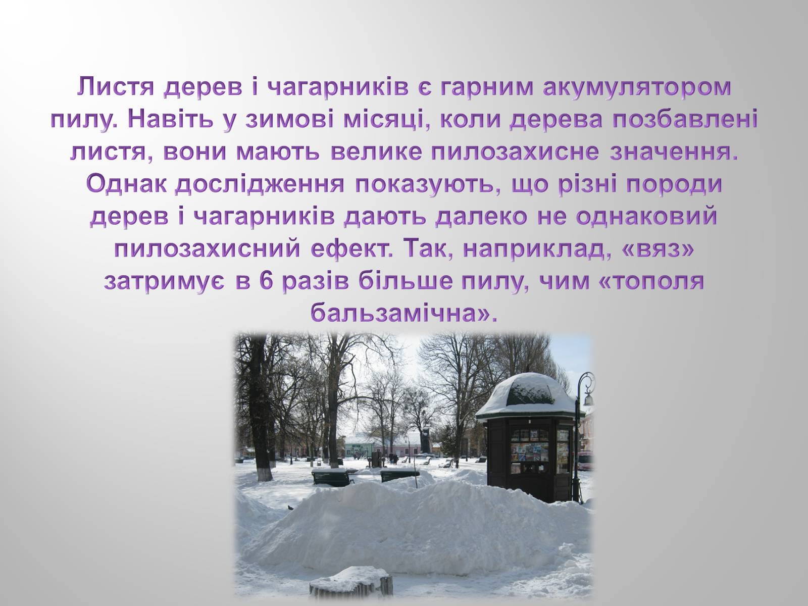 Презентація на тему «Вплив зелених насаджень на загазованість міста Броди» - Слайд #11