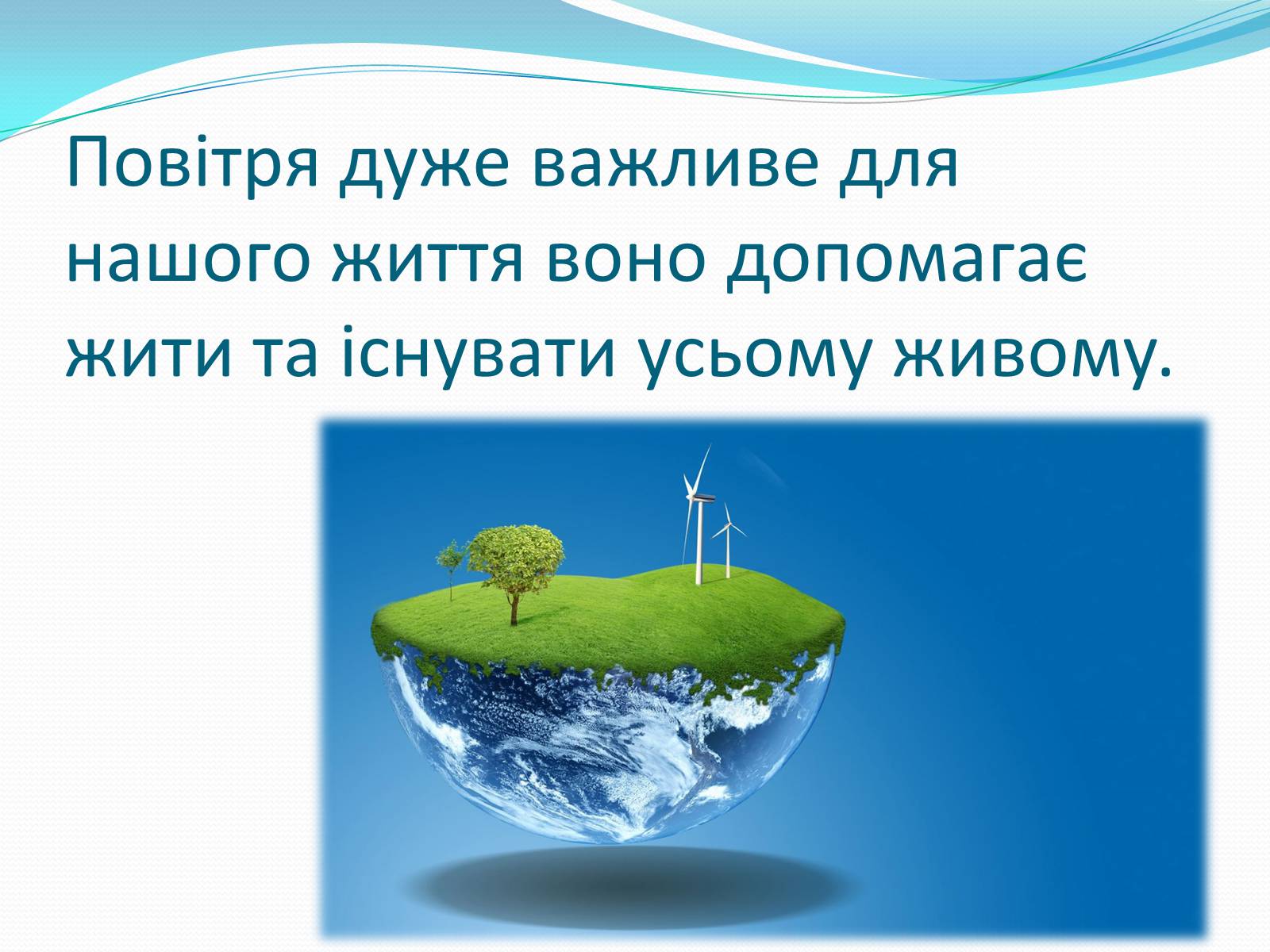 Презентація на тему «Вплив зелених насаджень на загазованість міста Броди» - Слайд #13