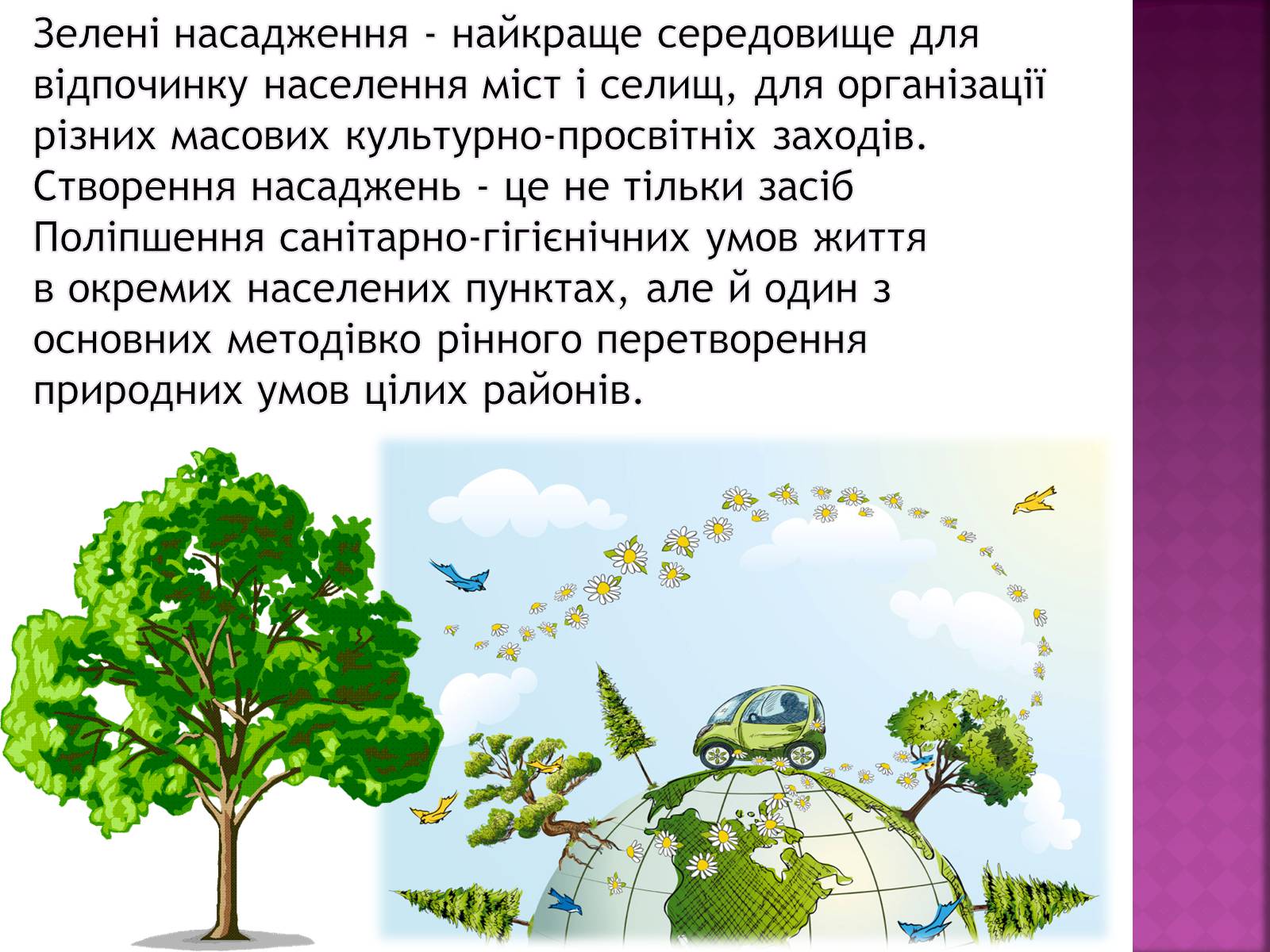 Презентація на тему «Вплив зелених насаджень на загазованість міста Броди» - Слайд #5