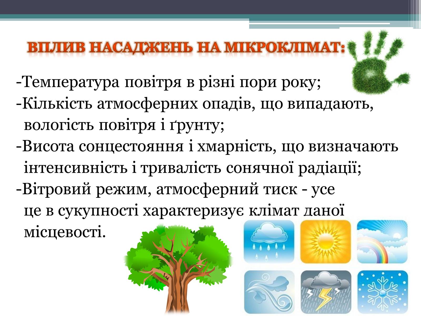 Презентація на тему «Вплив зелених насаджень на загазованість міста Броди» - Слайд #6