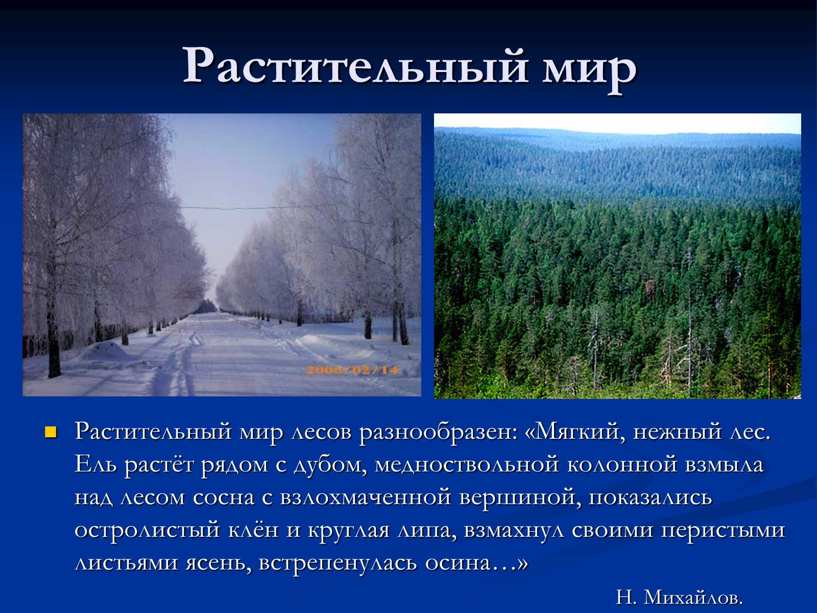 Презентація на тему «Природная зона смешанных и широколиственных лесов» - Слайд #6