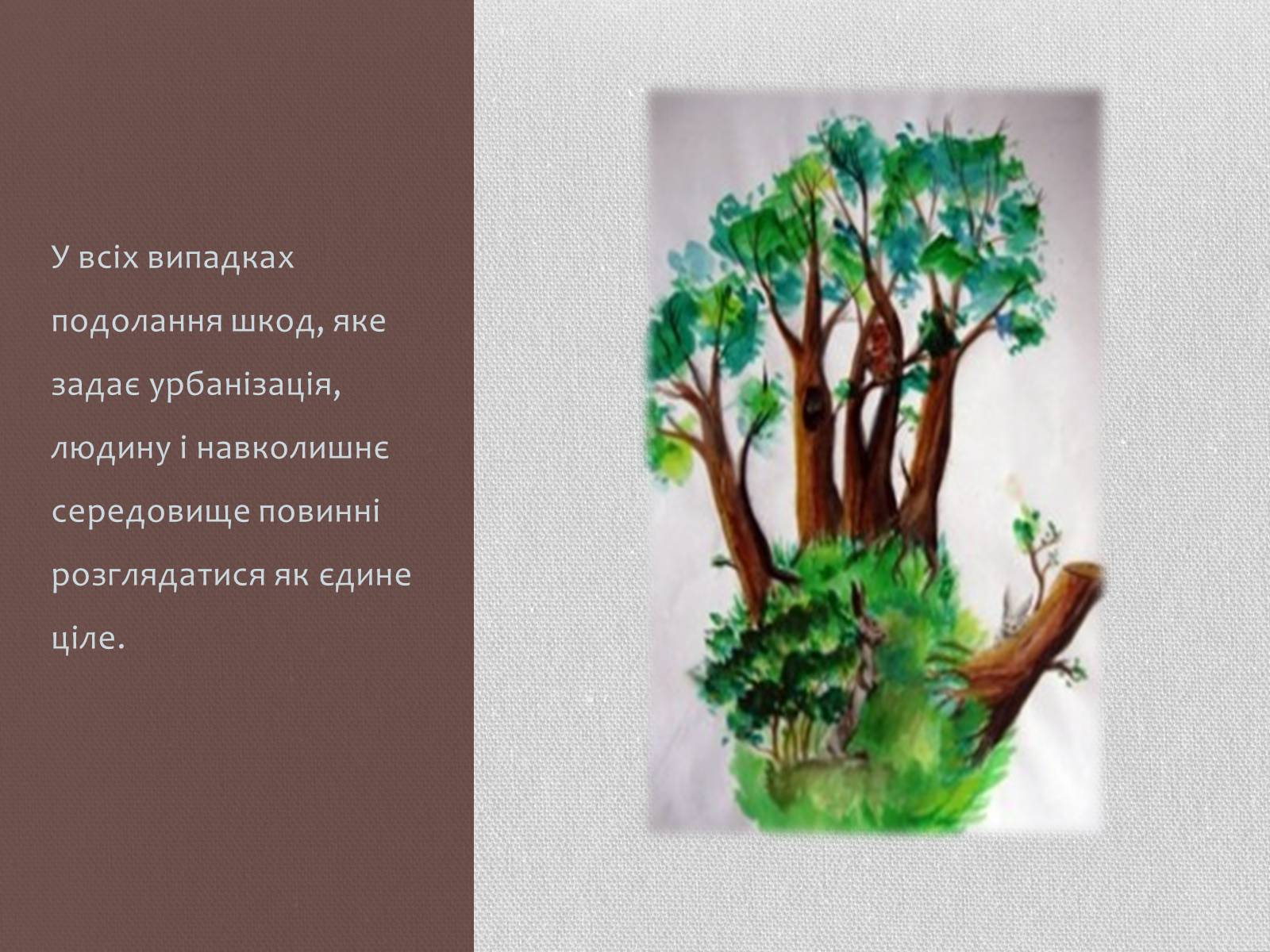 Презентація на тему «Урбанізація та її наслідки» (варіант 1) - Слайд #13