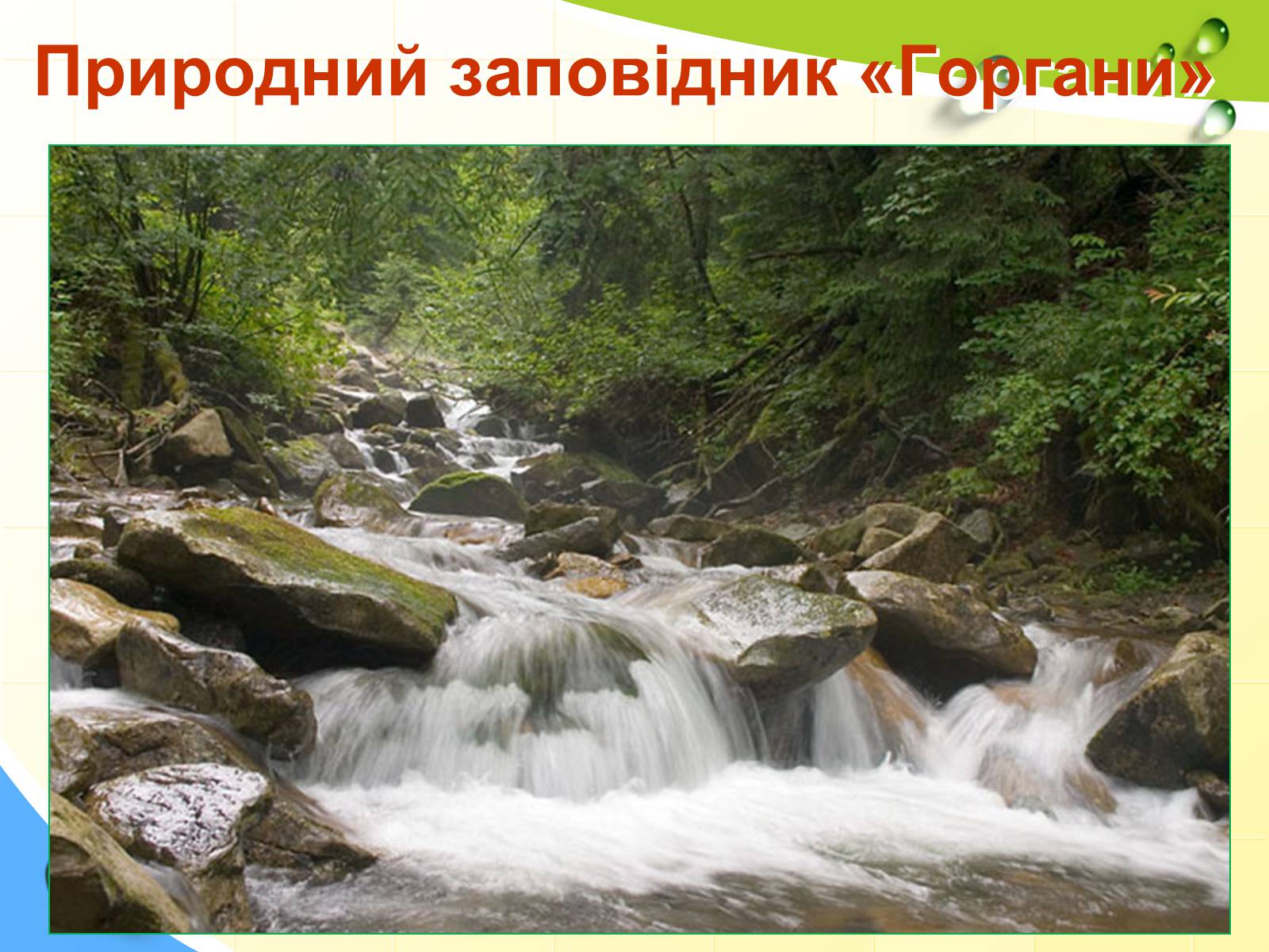 Презентація на тему «Природний заповідник «Горгани»» (варіант 2) - Слайд #1