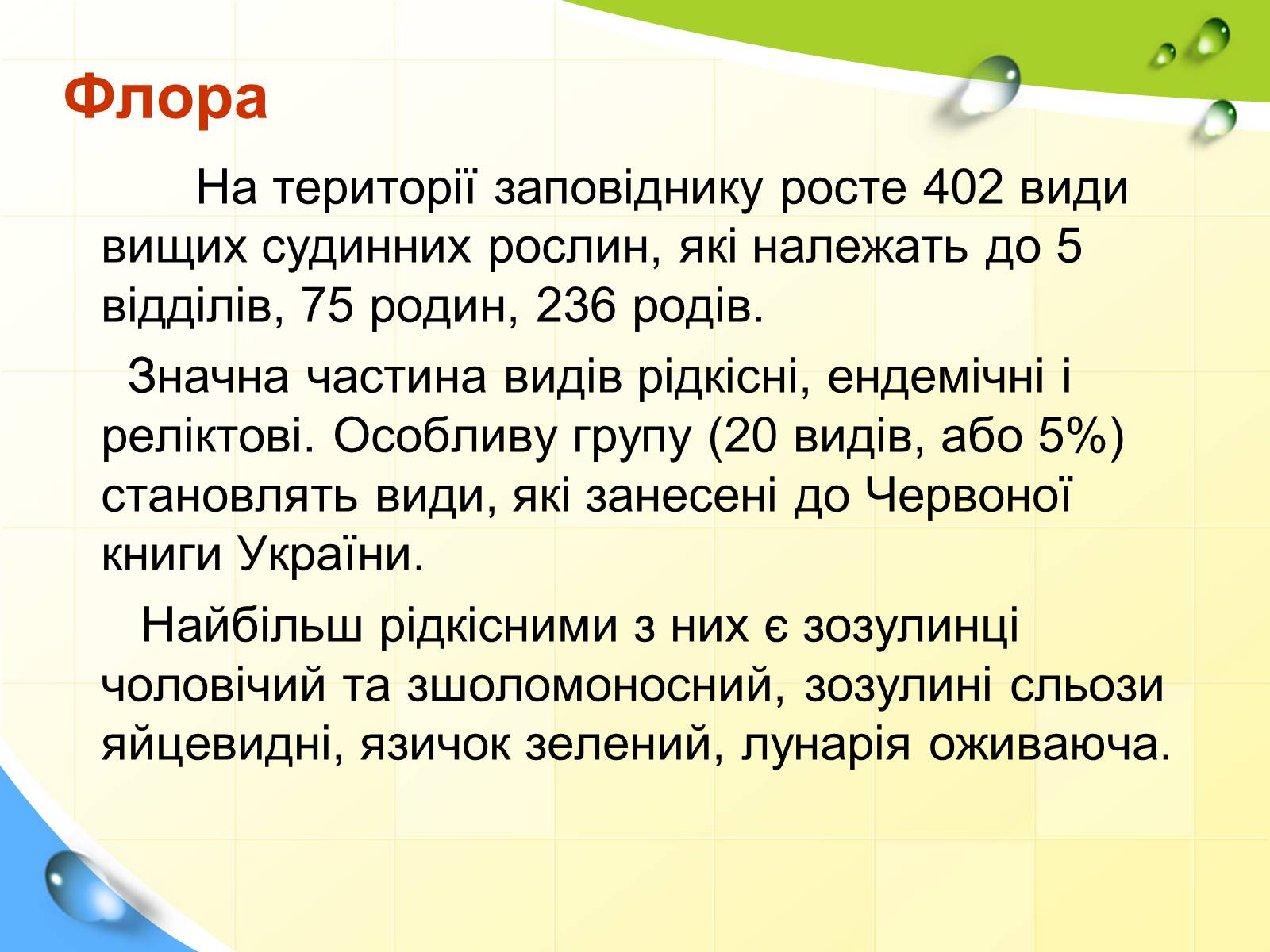 Презентація на тему «Природний заповідник «Горгани»» (варіант 2) - Слайд #11