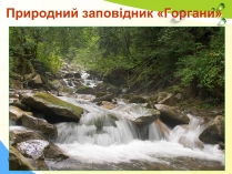 Презентація на тему «Природний заповідник «Горгани»» (варіант 2)