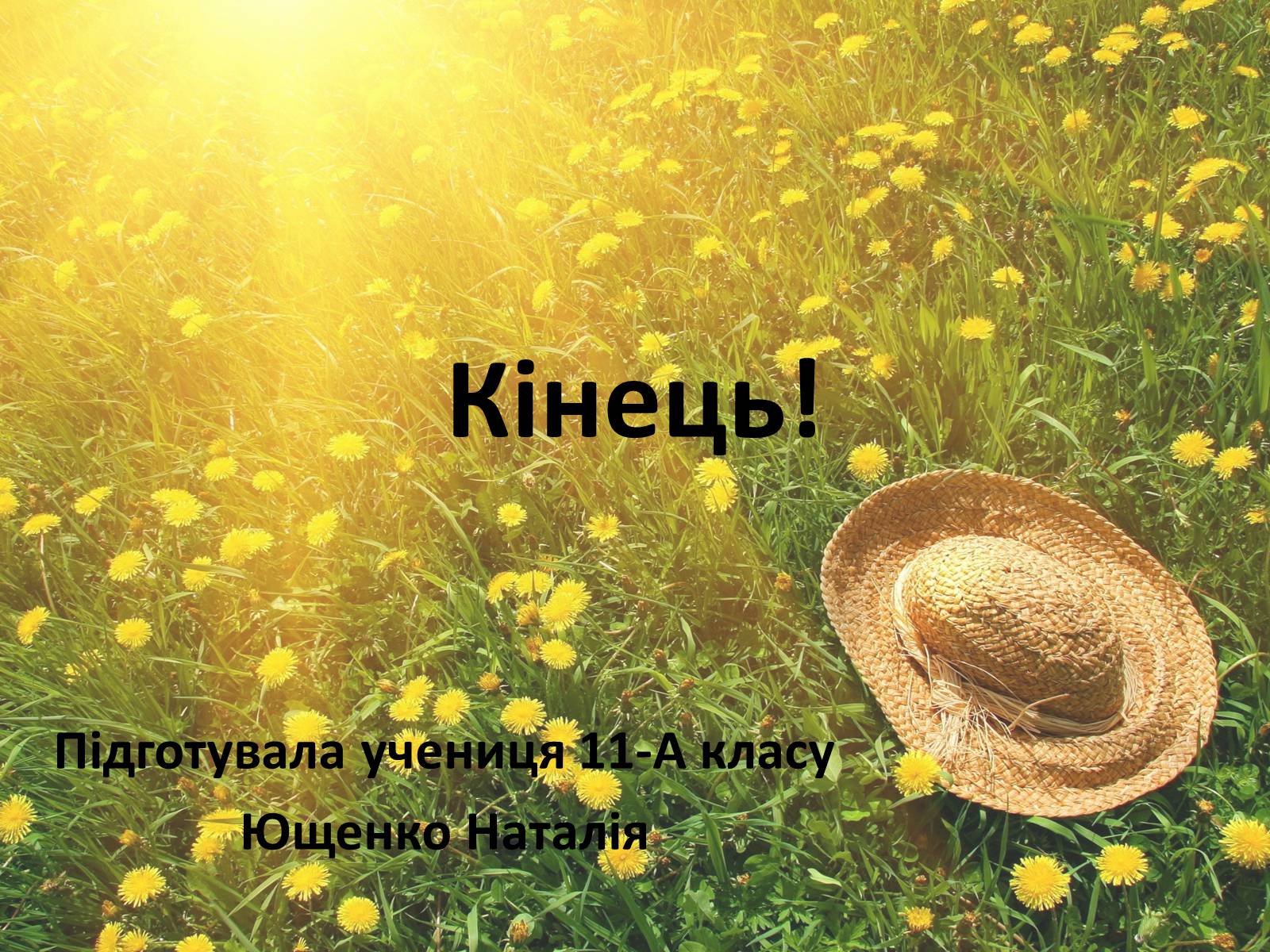 Презентація на тему «Колообіг речовин у природі» (варіант 1) - Слайд #11