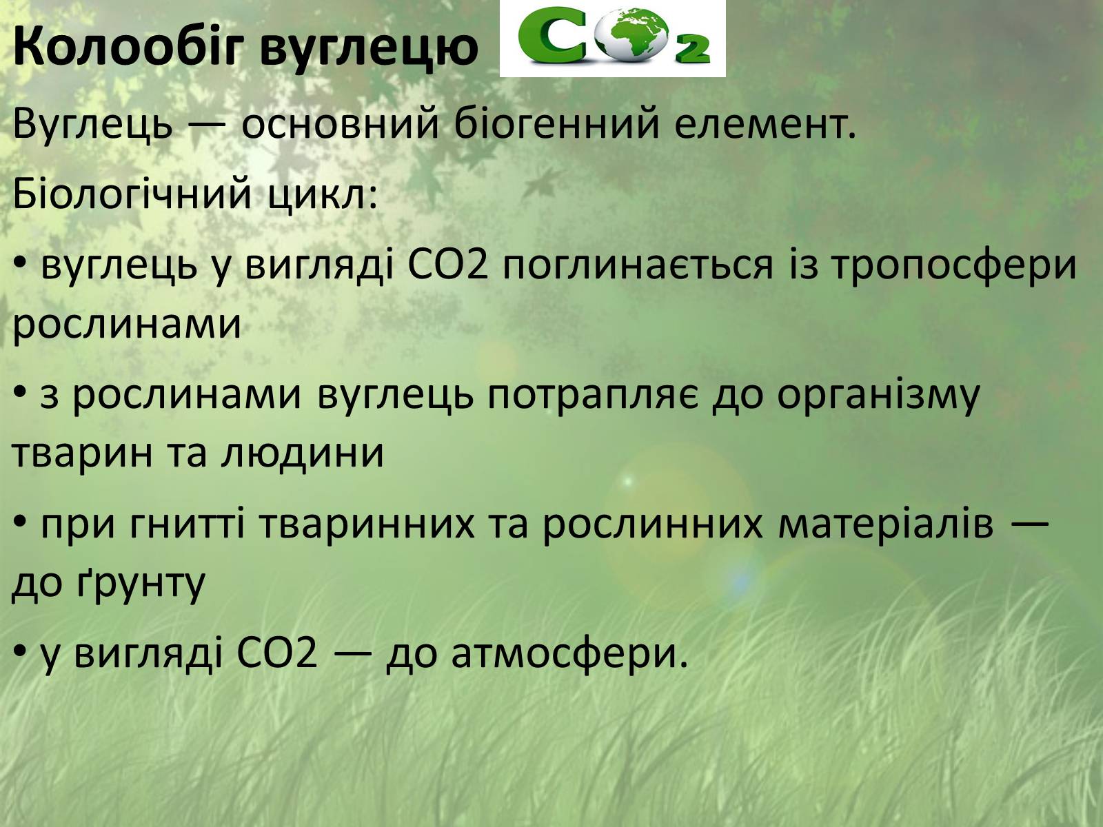 Презентація на тему «Колообіг речовин у природі» (варіант 1) - Слайд #5