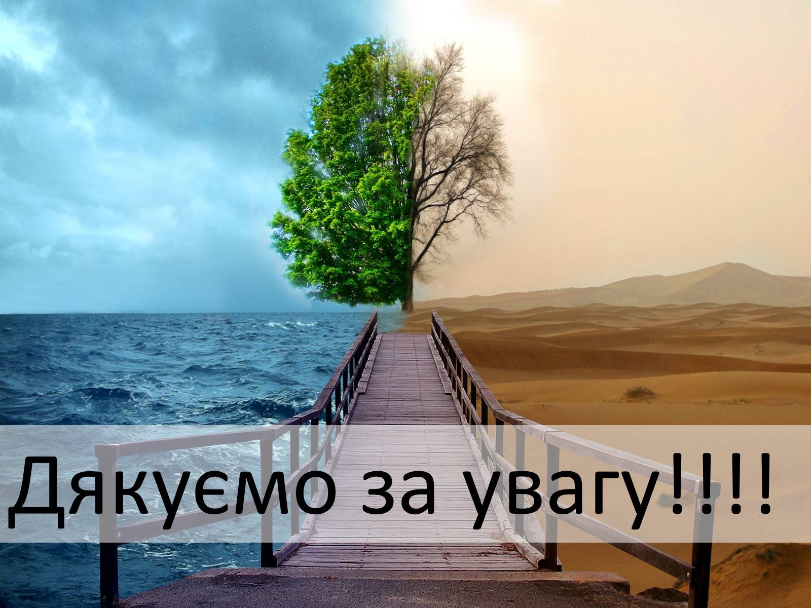 Презентація на тему «Охорона навколишнього середовища» (варіант 2) - Слайд #18