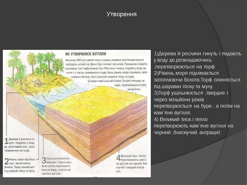 Презентація на тему «Кам&#8217;яне вугілля» (варіант 10) - Слайд #9