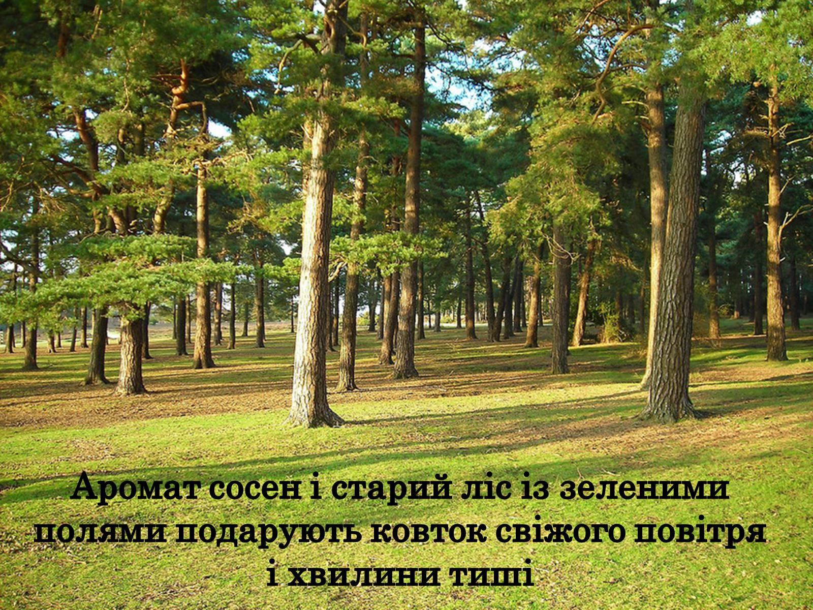 Презентація на тему «Природні парки Великобританії» - Слайд #19