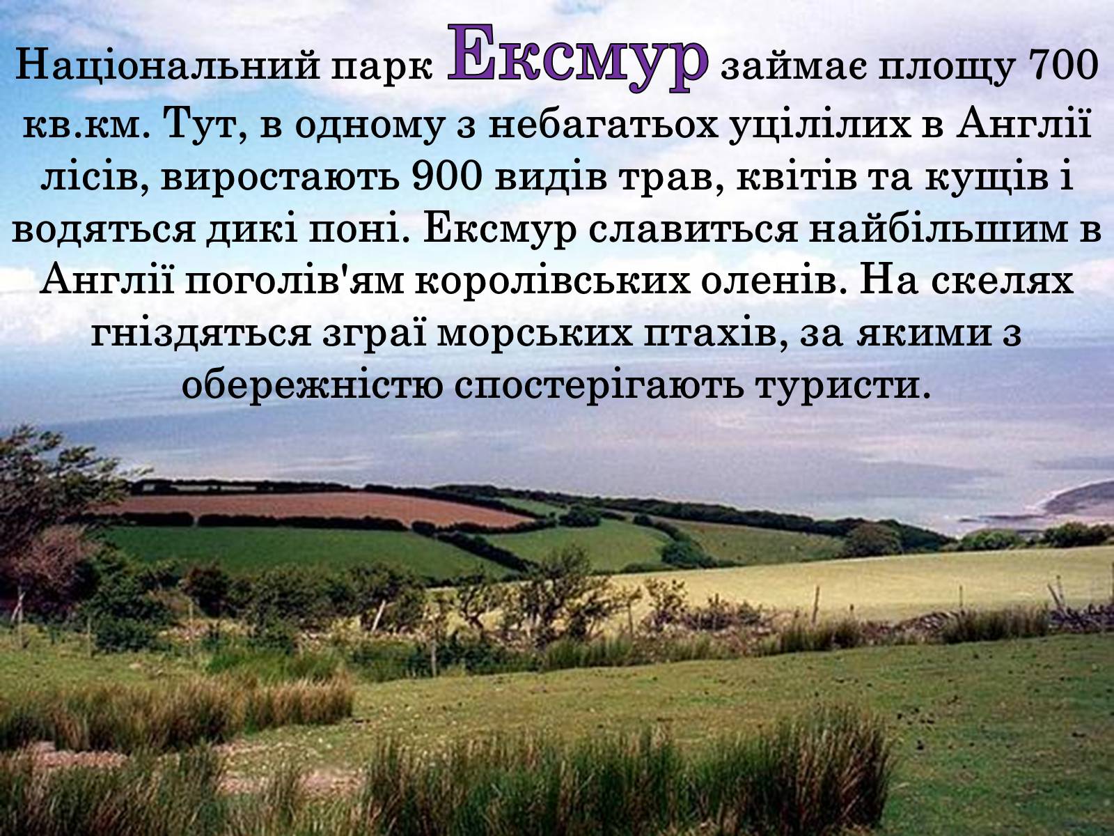 Презентація на тему «Природні парки Великобританії» - Слайд #9