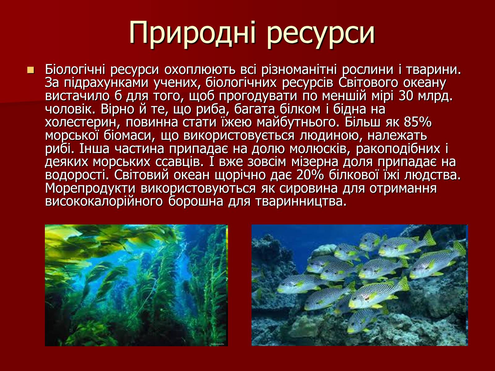 Презентація на тему «Глобальні проблеми людства» (варіант 23) - Слайд #11