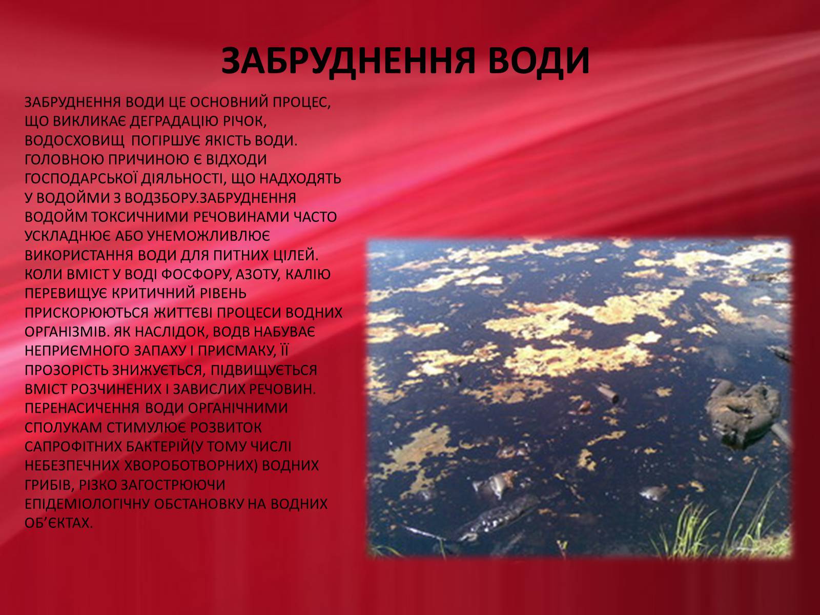 Презентація на тему «Техногенні проблеми в суспільстві» - Слайд #7