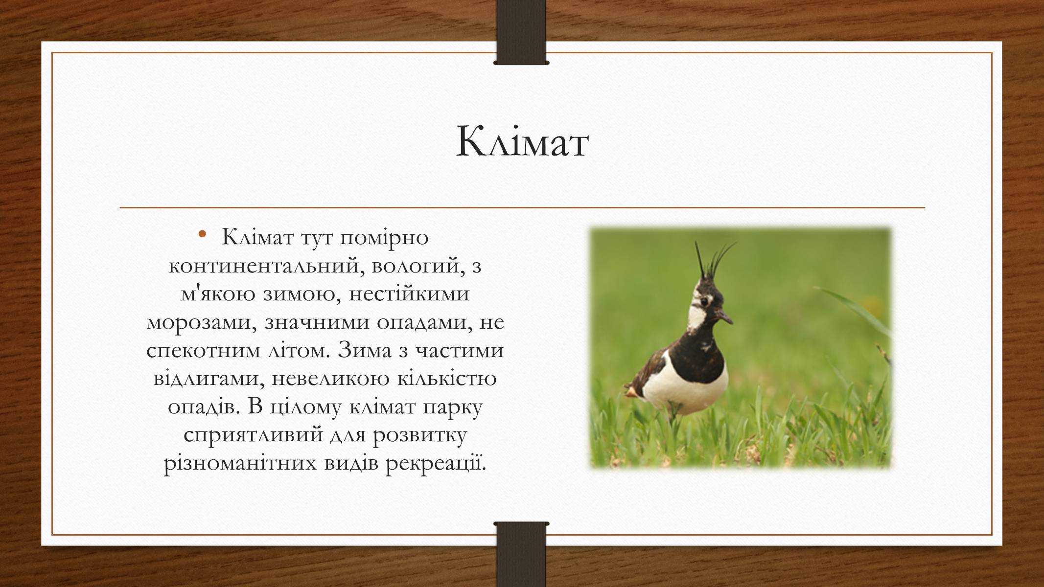 Презентація на тему «Шацький національний природний парк» (варіант 1) - Слайд #4