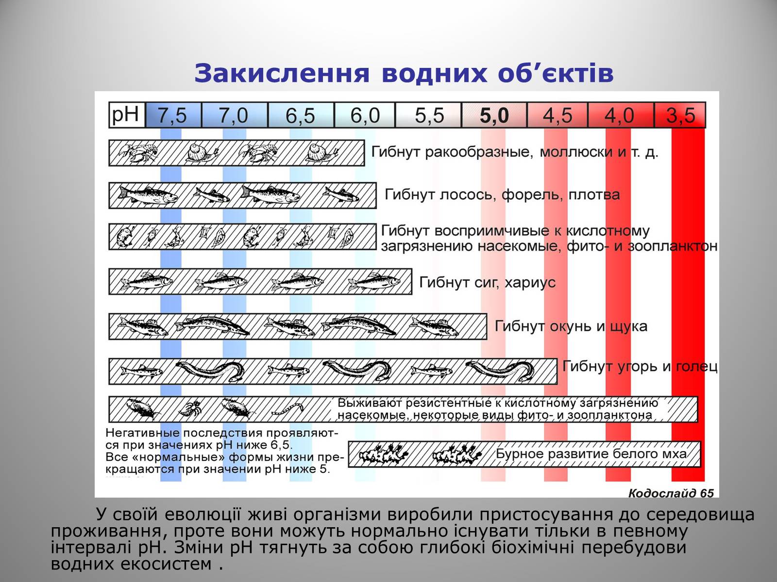 Презентація на тему «Кислотні дощі» (варіант 15) - Слайд #14