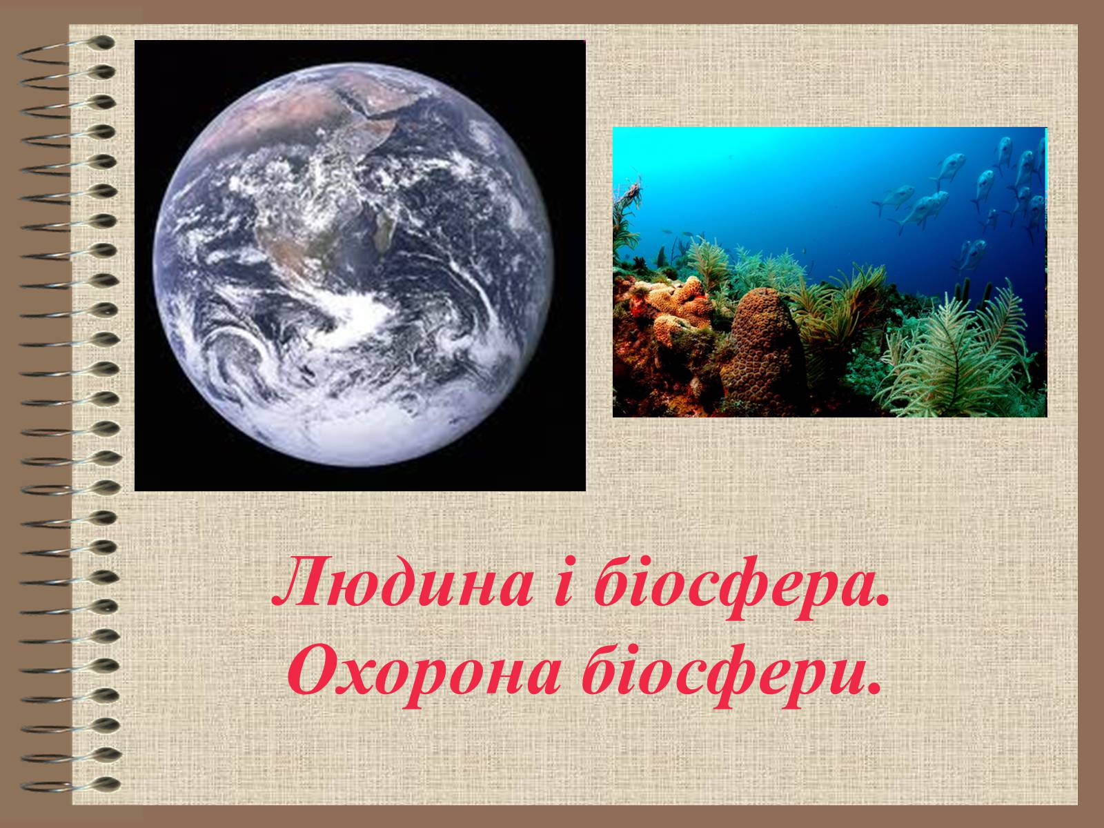 Презентація на тему «Людина і біосфера. Охорона біосфери» (варіант 1) - Слайд #1