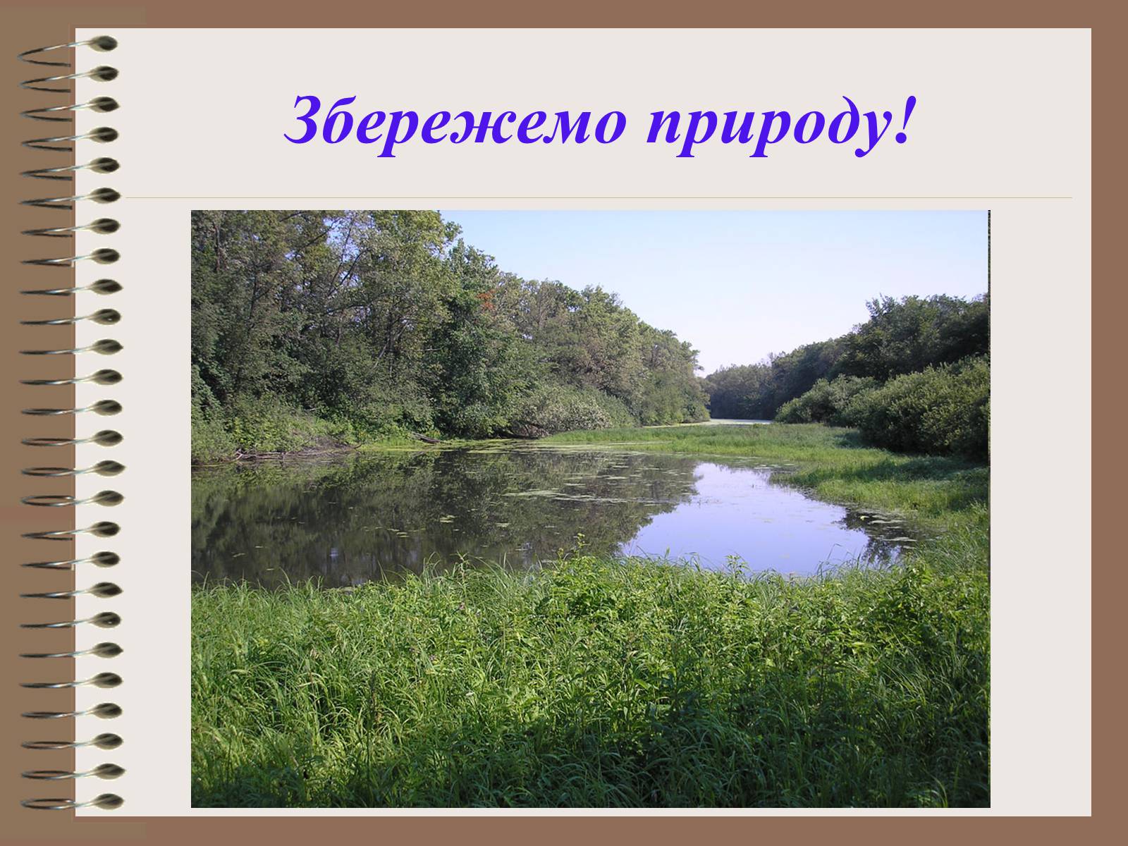 Презентація на тему «Людина і біосфера. Охорона біосфери» (варіант 1) - Слайд #26