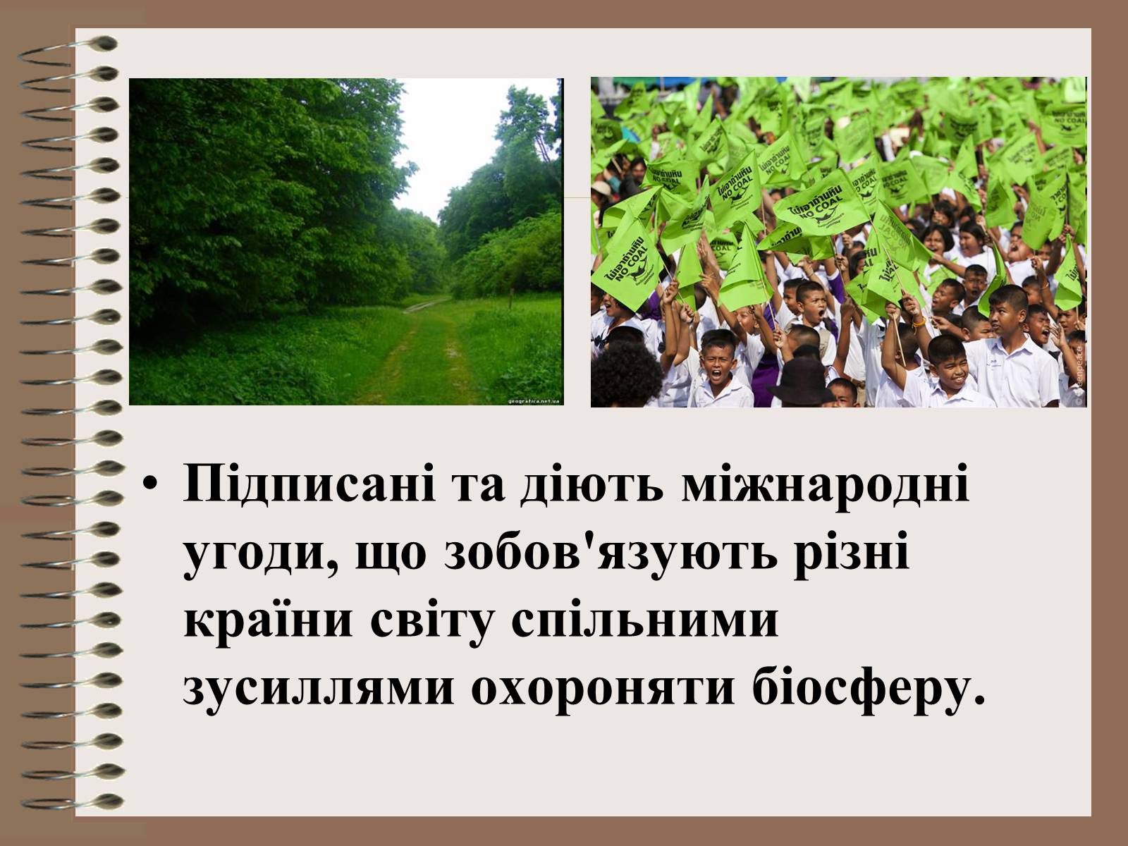 Презентація на тему «Людина і біосфера. Охорона біосфери» (варіант 1) - Слайд #5