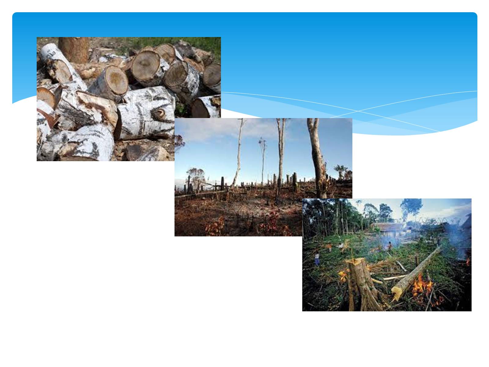 Презентація на тему «Environmental problems» (варіант 3) - Слайд #11