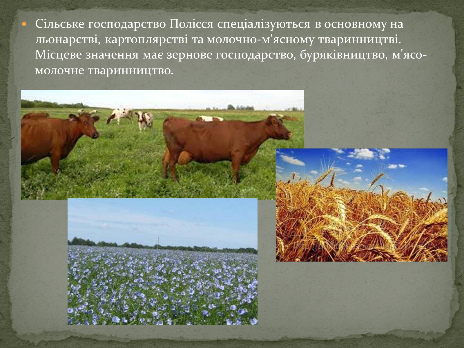 Презентація на тему «Північно-західний економічний район» - Слайд #16