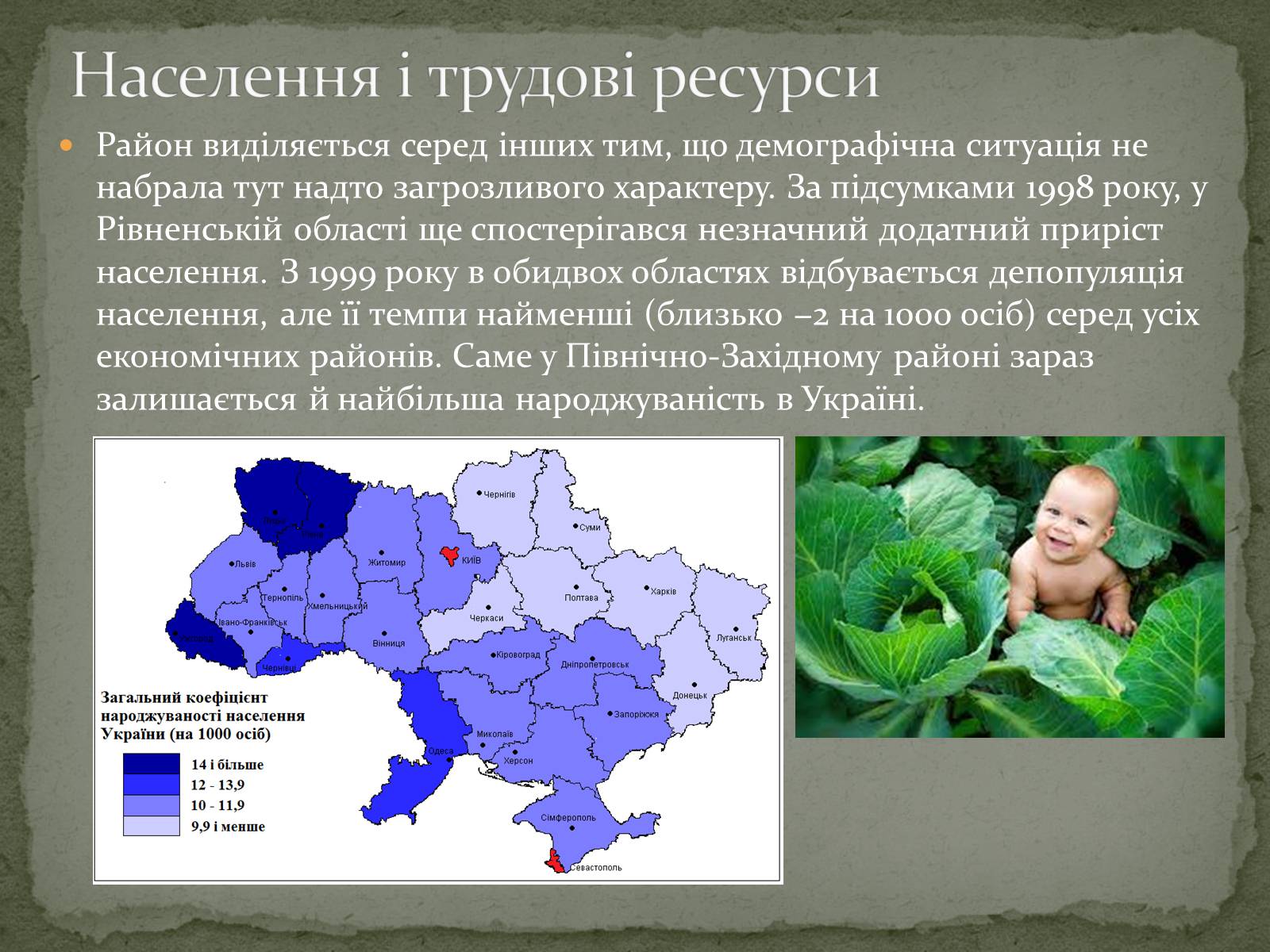 Презентація на тему «Північно-західний економічний район» - Слайд #5