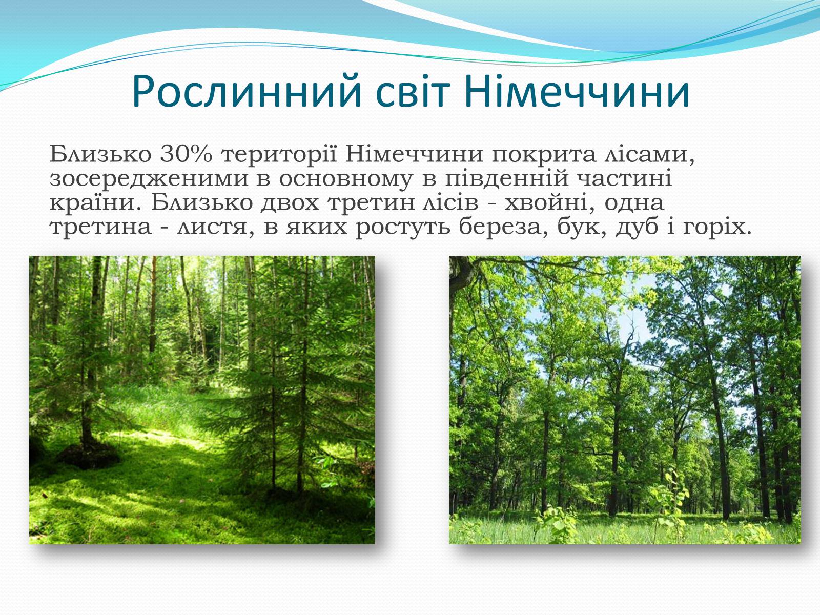 Презентація на тему «Федеративна Республіка Німеччина» (варіант 6) - Слайд #11