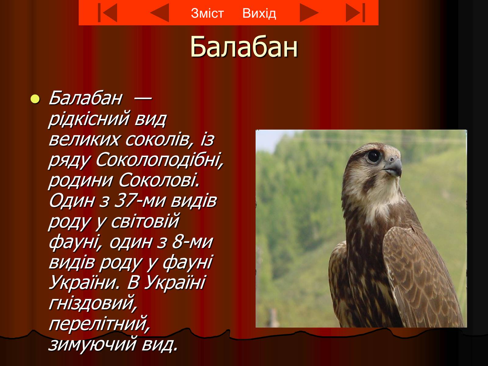 Презентація на тему «Червона книга України» (варіант 8) - Слайд #3