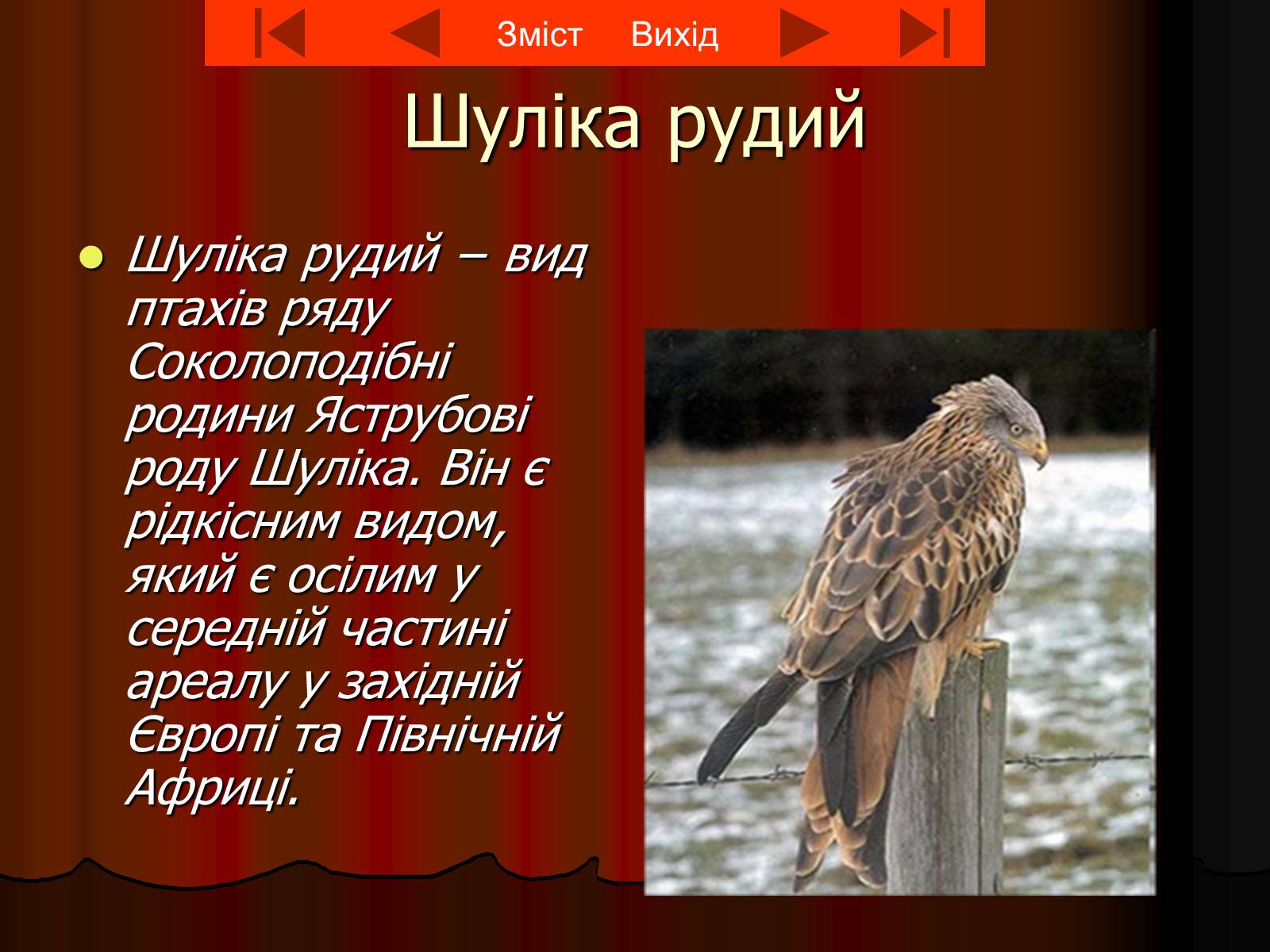 Презентація на тему «Червона книга України» (варіант 8) - Слайд #6