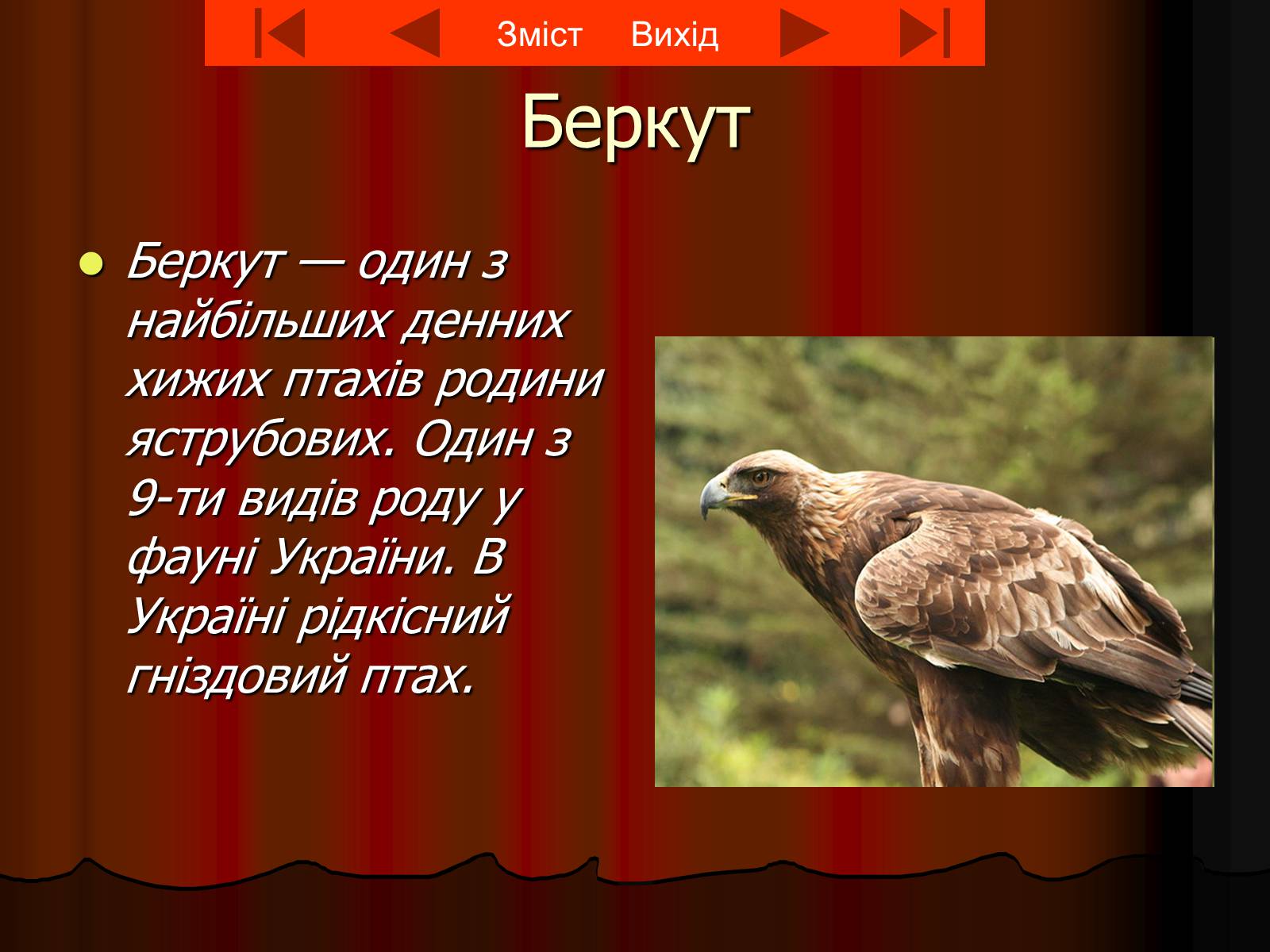 Презентація на тему «Червона книга України» (варіант 8) - Слайд #7