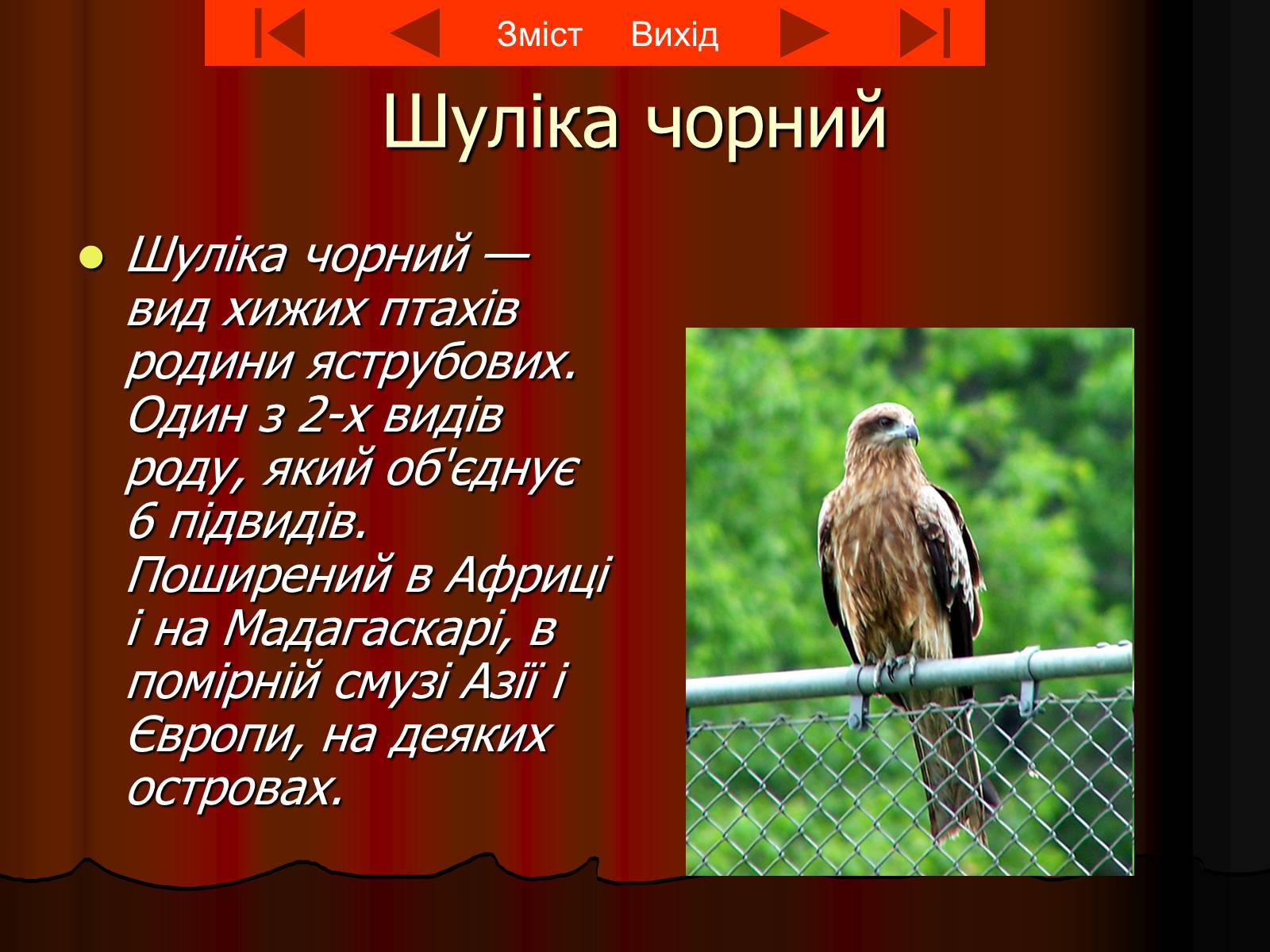 Презентація на тему «Червона книга України» (варіант 8) - Слайд #9