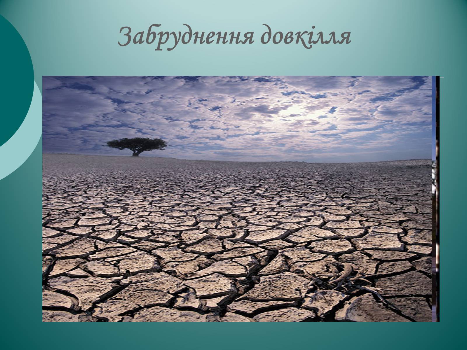 Презентація на тему «Глобальні проблеми людства екологічного характеру» - Слайд #6