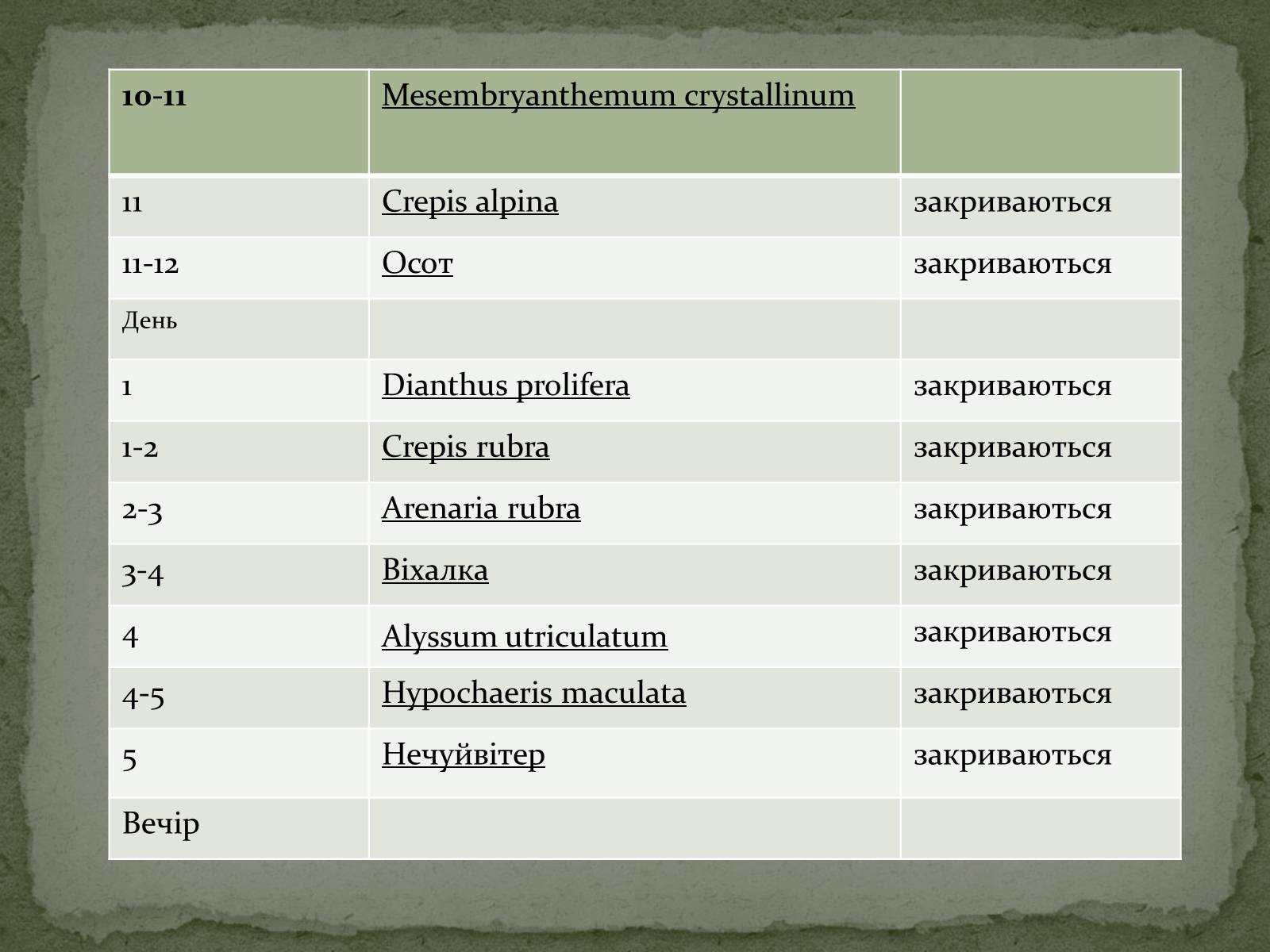 Презентація на тему «Квітковий годинник» - Слайд #4