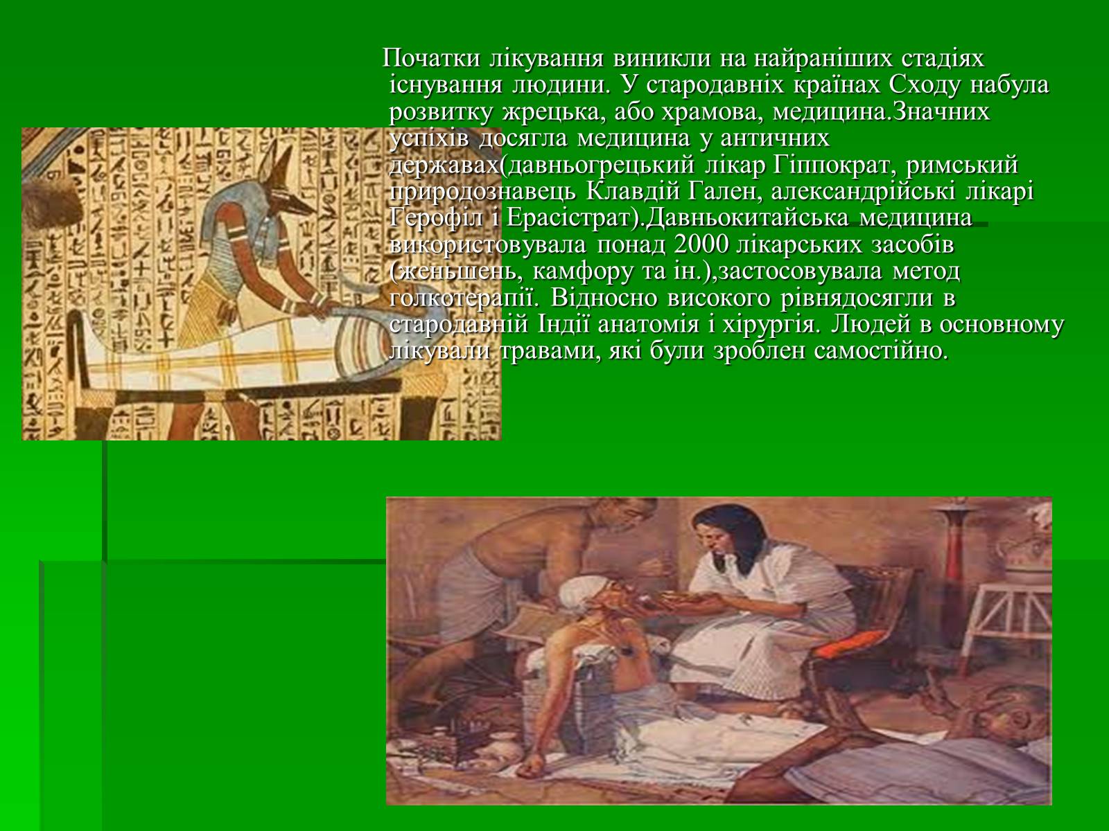 Презентація на тему «Моя майбутня професія – лікар» (варіант 3) - Слайд #5