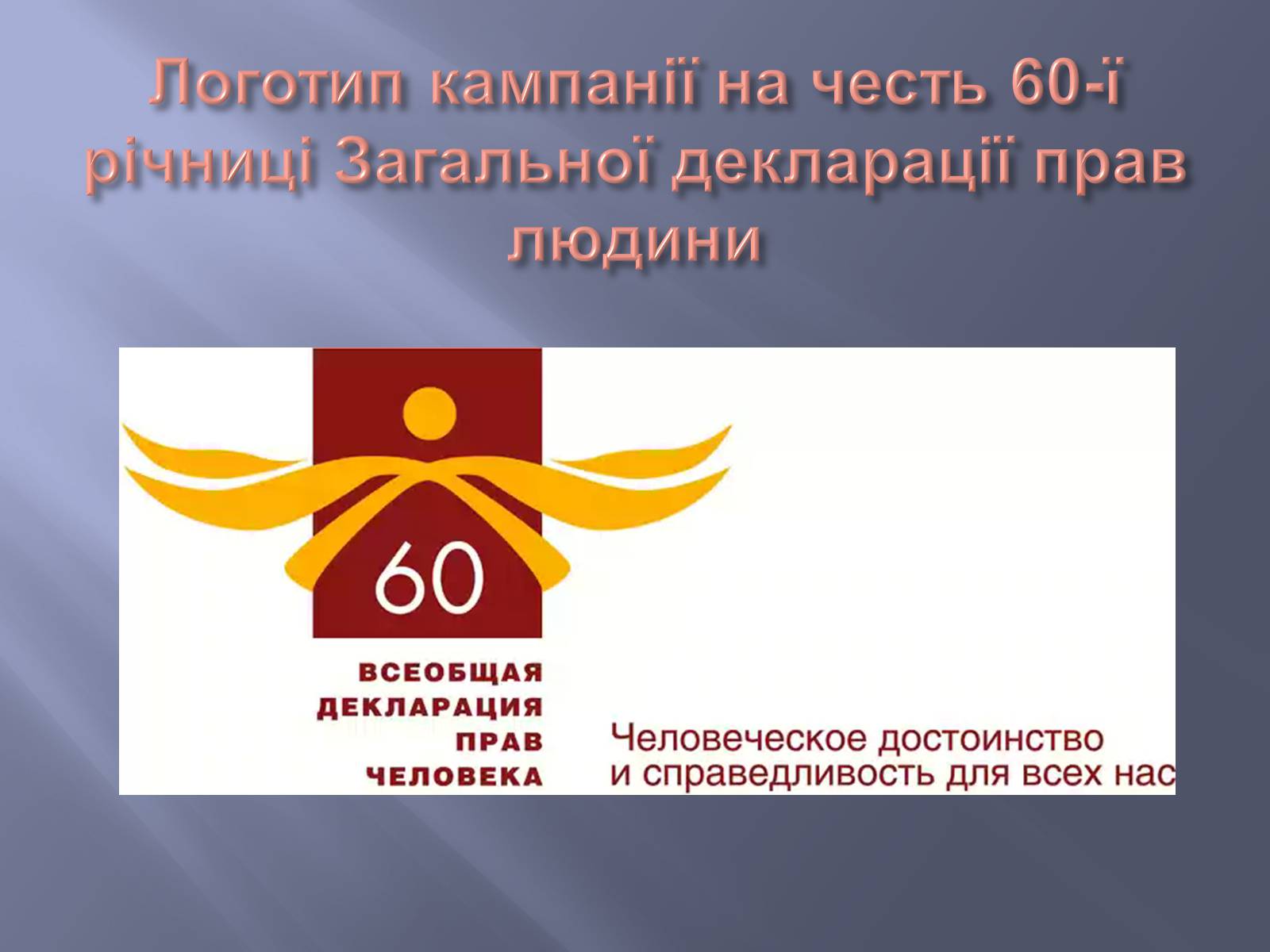 Презентація на тему «Загальна декларація прав людини» - Слайд #14