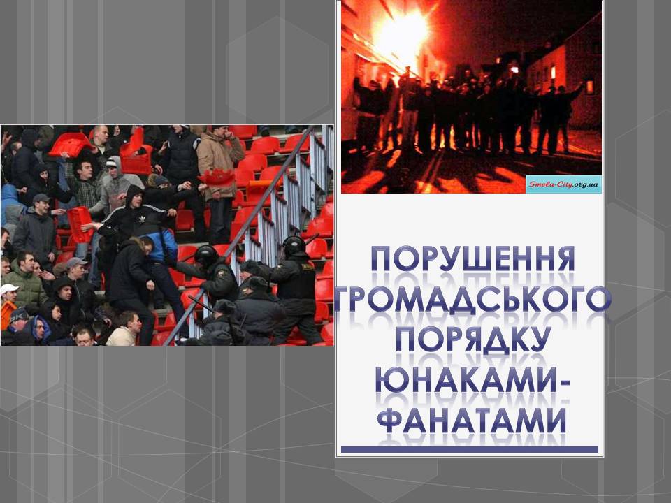 Презентація на тему «Адміністративні правопорушення» - Слайд #23