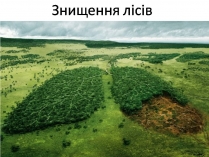 Презентація на тему «Знищення лісів» (варіант 2)