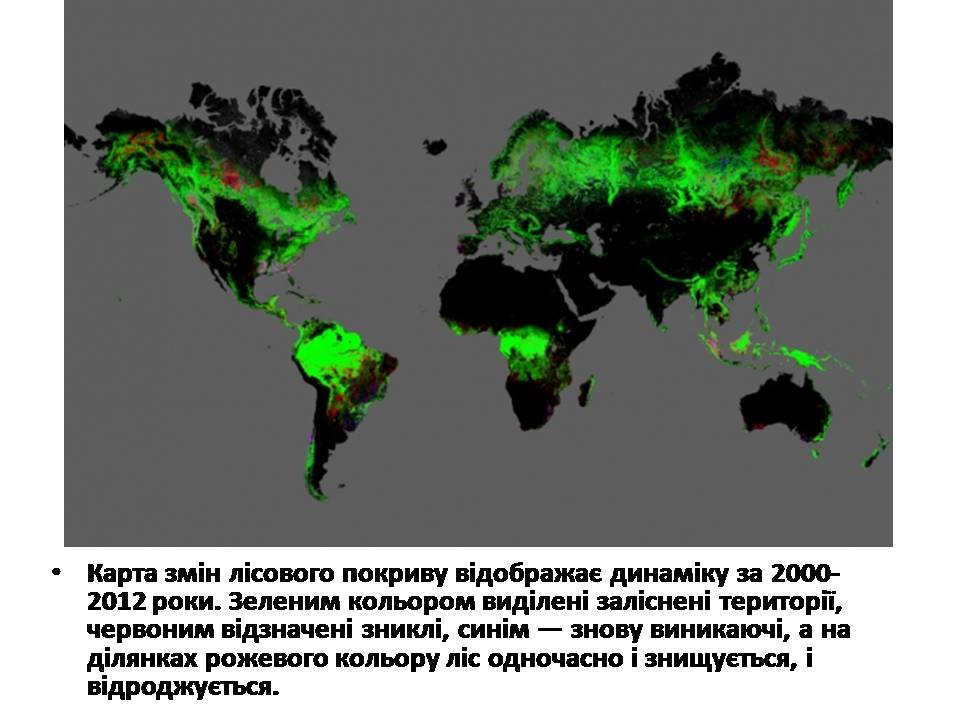 Презентація на тему «Знищення лісів» (варіант 2) - Слайд #11